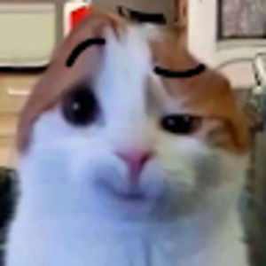 Meet your Posher, Keyli